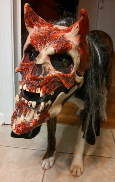 Картинки и приколы из сети