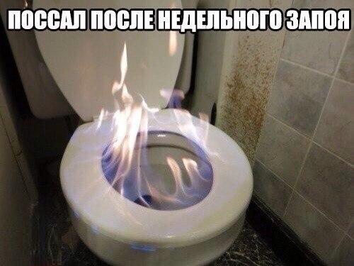 100 картинок для поднятия настроения!