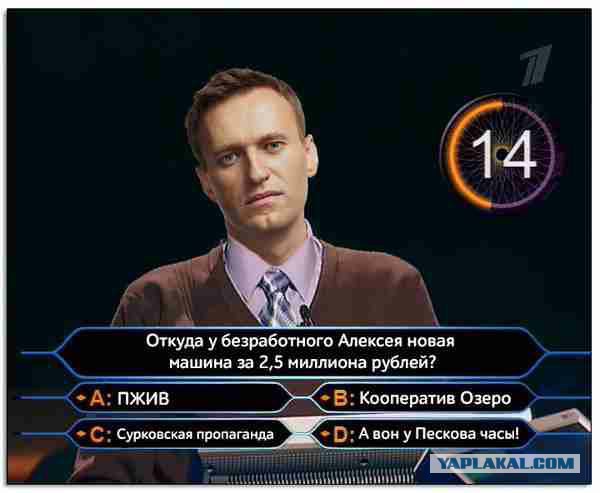 Более 80% россиян одобряют работу Путина