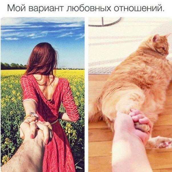 Журнал школьный деградант