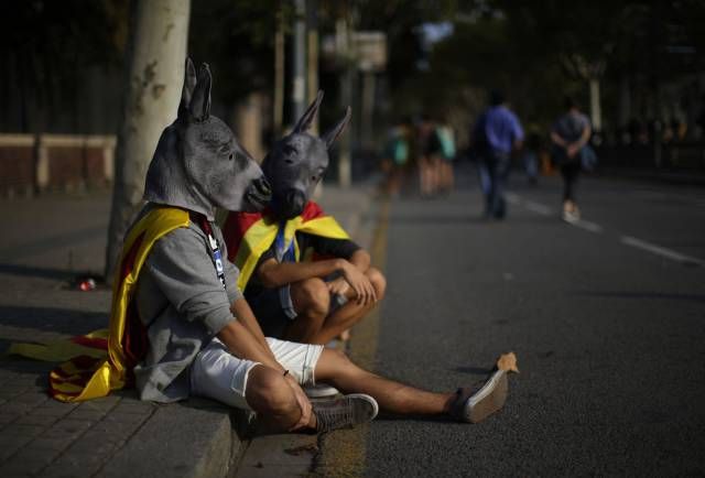 Подборка интересных и веселых картинок