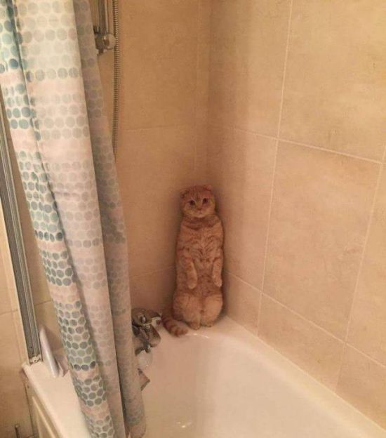 Подборка картинок на вторник