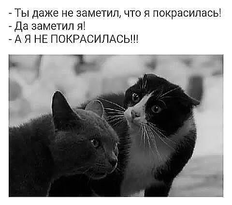 От работы тяжёлой не ной, пост с картинками для отдыха открой!