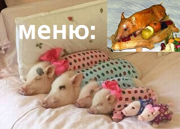 Подборка интересных и веселых картинок