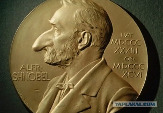 Подскажите что за штука?