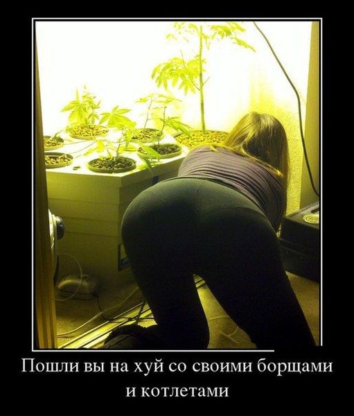 Картинки в рамках с надписями