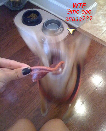 Телепортация