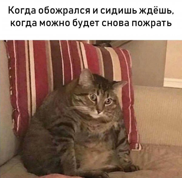 Чудики из социальных сетей 01.12.18