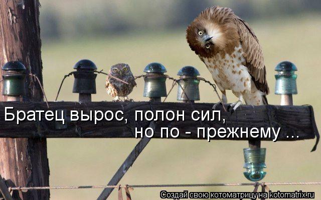Серьезный и смешной