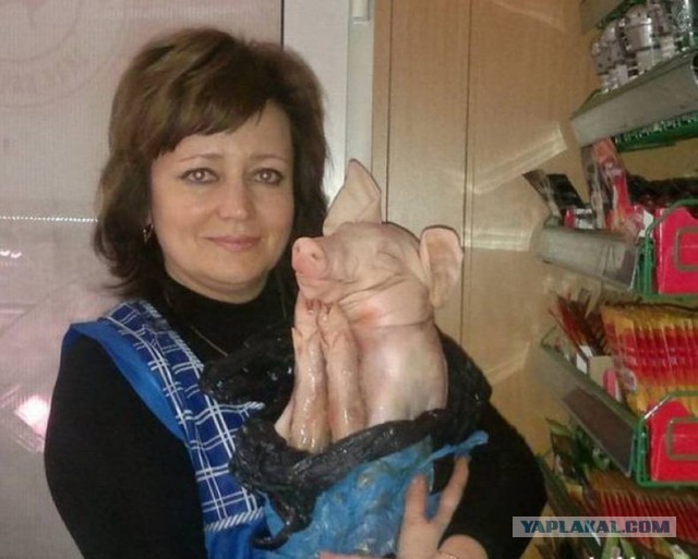 Это вам не инстаграмм (январь)
