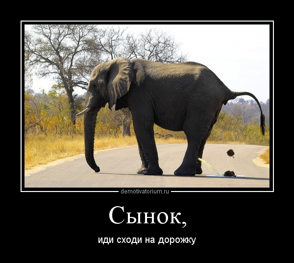 Картинки с надписью слоник