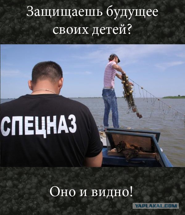 Конкурс на лучшую фотожабу против браконьеров.