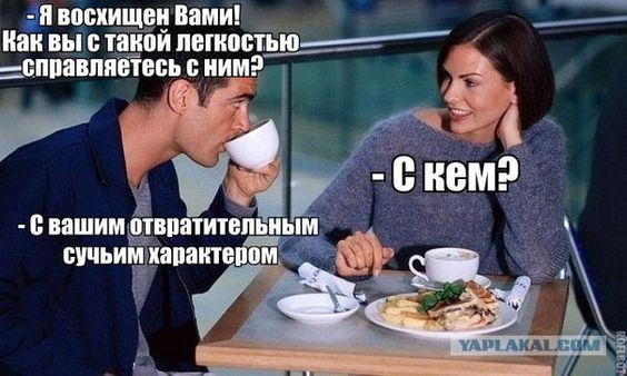 Заседание клуба аморалов объявляется открытым