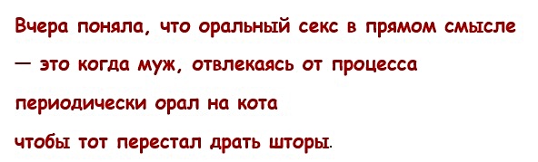 Картинки с надписями, истории и анекдоты