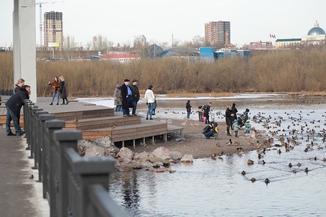 «У них остались дети и супруги»: подробности падения в Енисей пары влюбленных