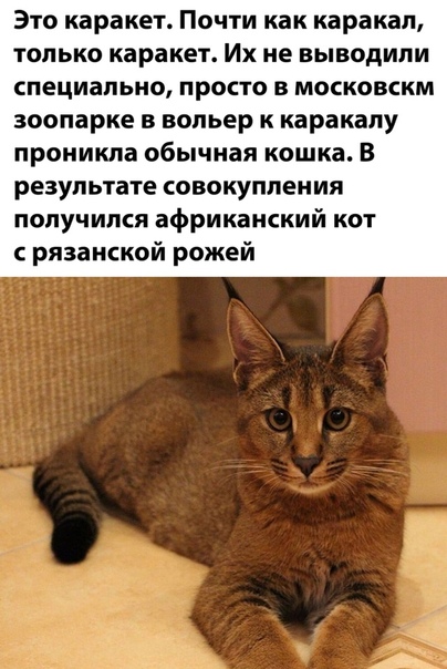 Бредзона 25.08.2020