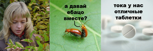 Он как бы нам машет?