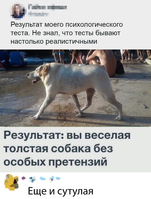 Немного картинок для настроения 30.08.20