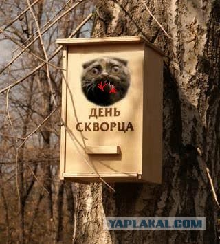 Фотожаба: Знатный Зверюга