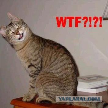 Фотожаба: WTF?