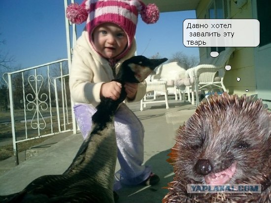 Фотожаба: Молодая добытчица