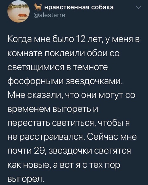 Немного картинок для настроения 16.11.20