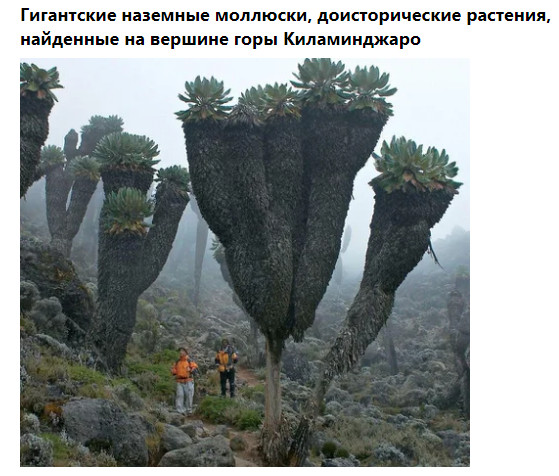 Фото-винегрет-2. Картинки ниапчём и обо всём