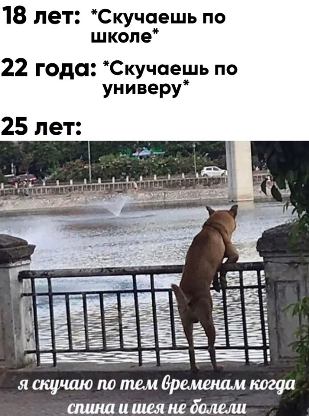 Весёлый полтишок 13.03