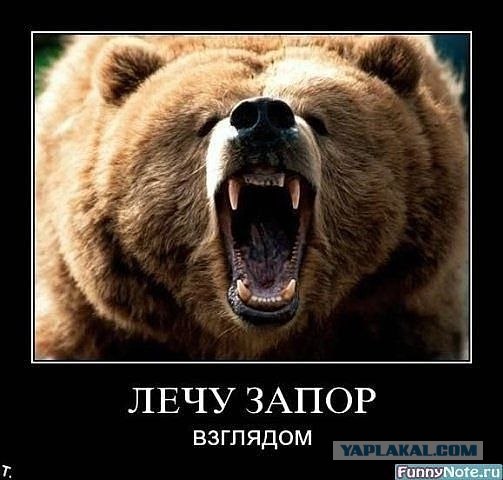 Голодный мишка и консерва, (BBC cameraman)