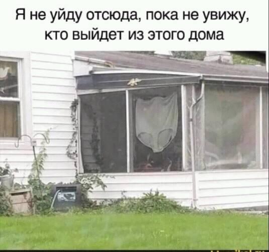 Так себе картинки 31.07.21