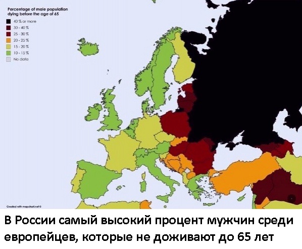 Так себе картинки 10.08.21