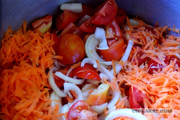 Осень в банках