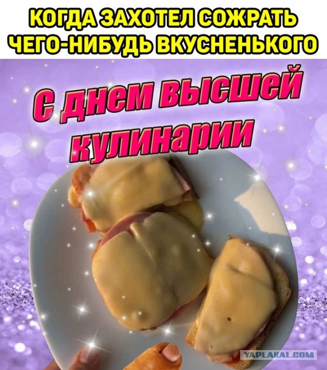 Весёлый полтишок 20.09.