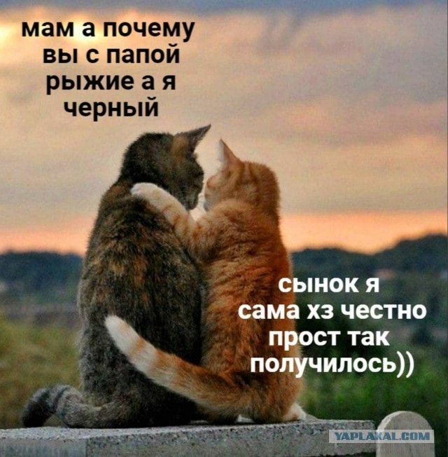 Два-лучше!