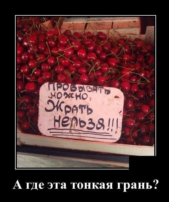 Баяны бабыЯны