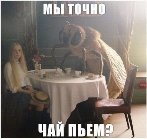 На мемы надейся, а сам не плошай! 12.02.22