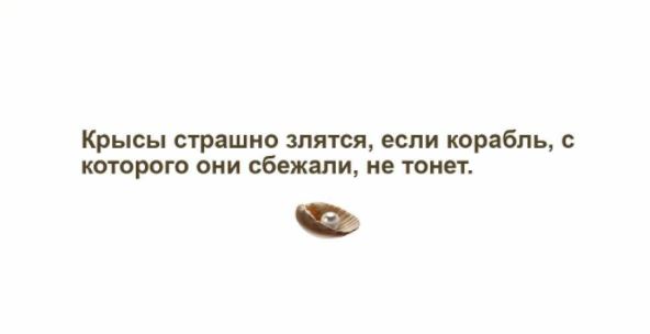 Wargaming объявила о решении покинуть Россию и Беларусь.