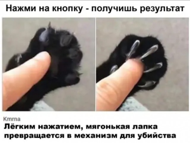 Так себе картинки 17.04.22