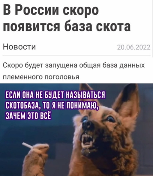 Картинки и мемы для настроения - 29