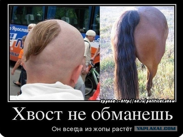 Призвали