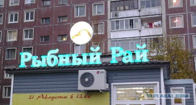 Учитесь ловить рыбу