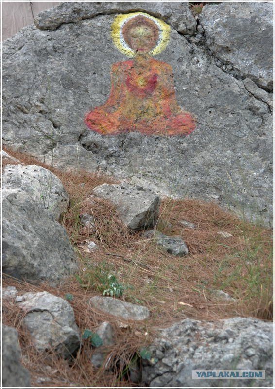 Крым. Мыс Ая. Деревья моря.