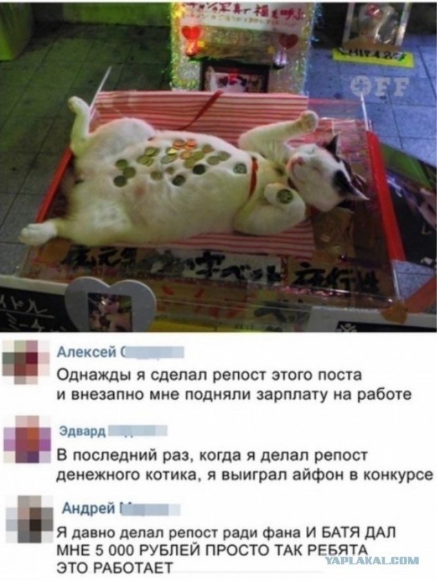 Извините. Деньги очень нужны
