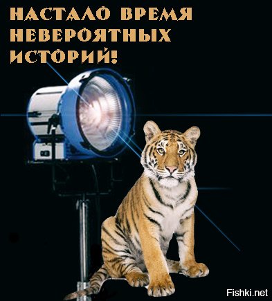 Народ совсем поехал
