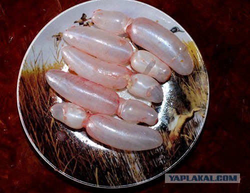 Под пиво