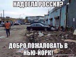 Баннеры, отлов собак и пропавший губернатор. Волгоград готовится к приезду президента
