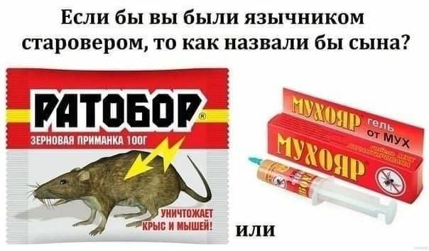 Картинки и мемы, всем хороших выходных