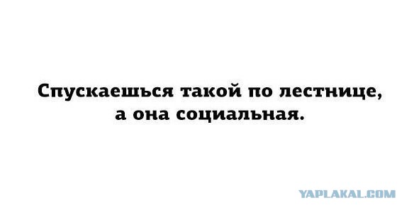 Нуштош 22.03.2023