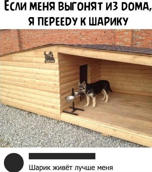 Картинки и мемы для настроения - 137