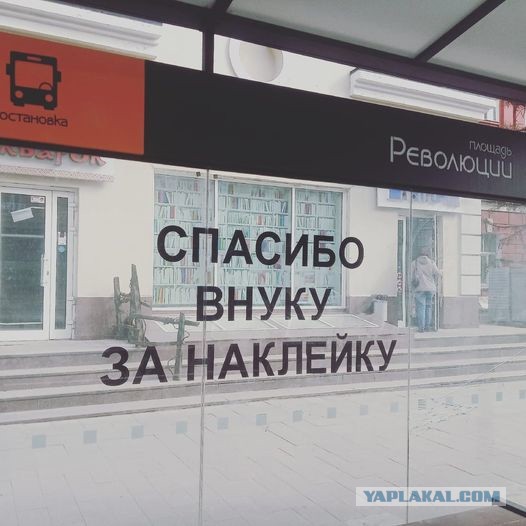 Баяны и аккордеоны. Смешные и не очень
